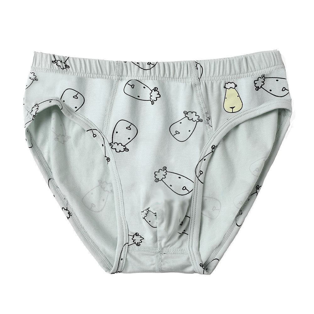 Boys Briefs C009-M 3 pcs
