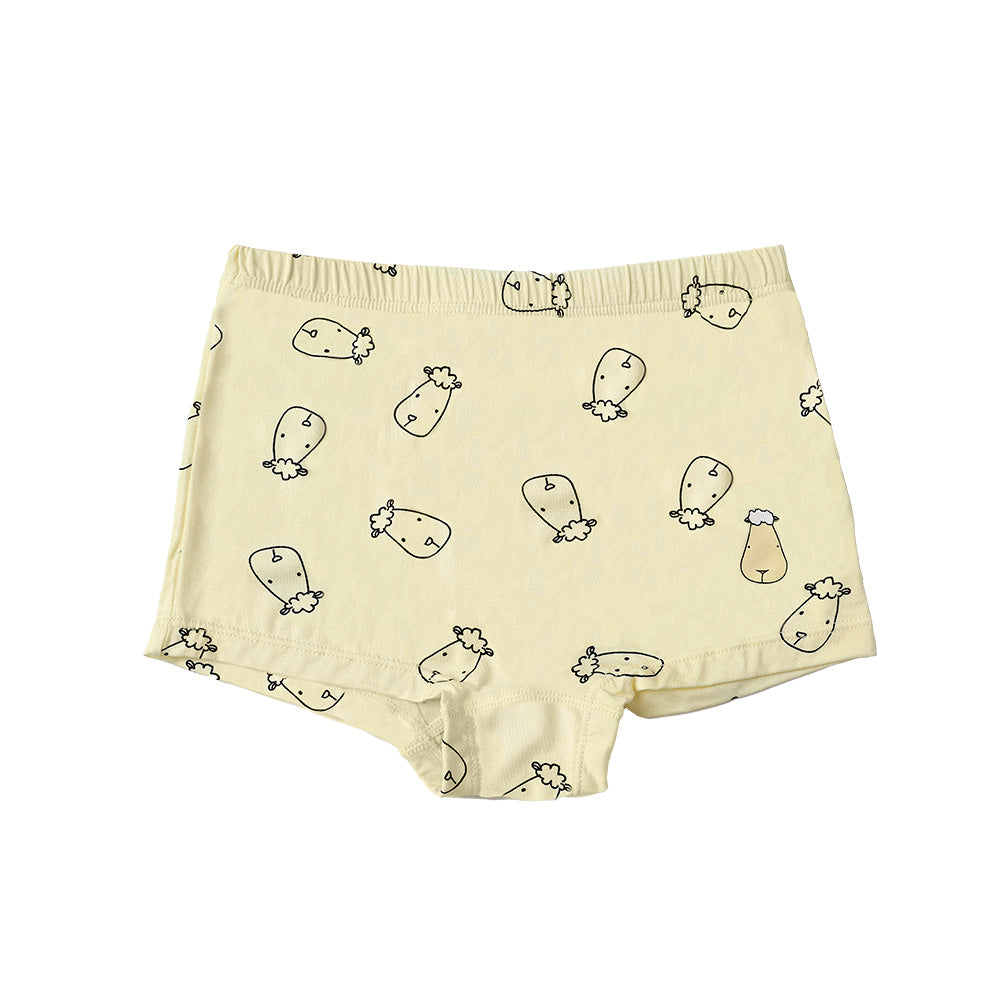 Girls Boxer C012-B 3 pcs