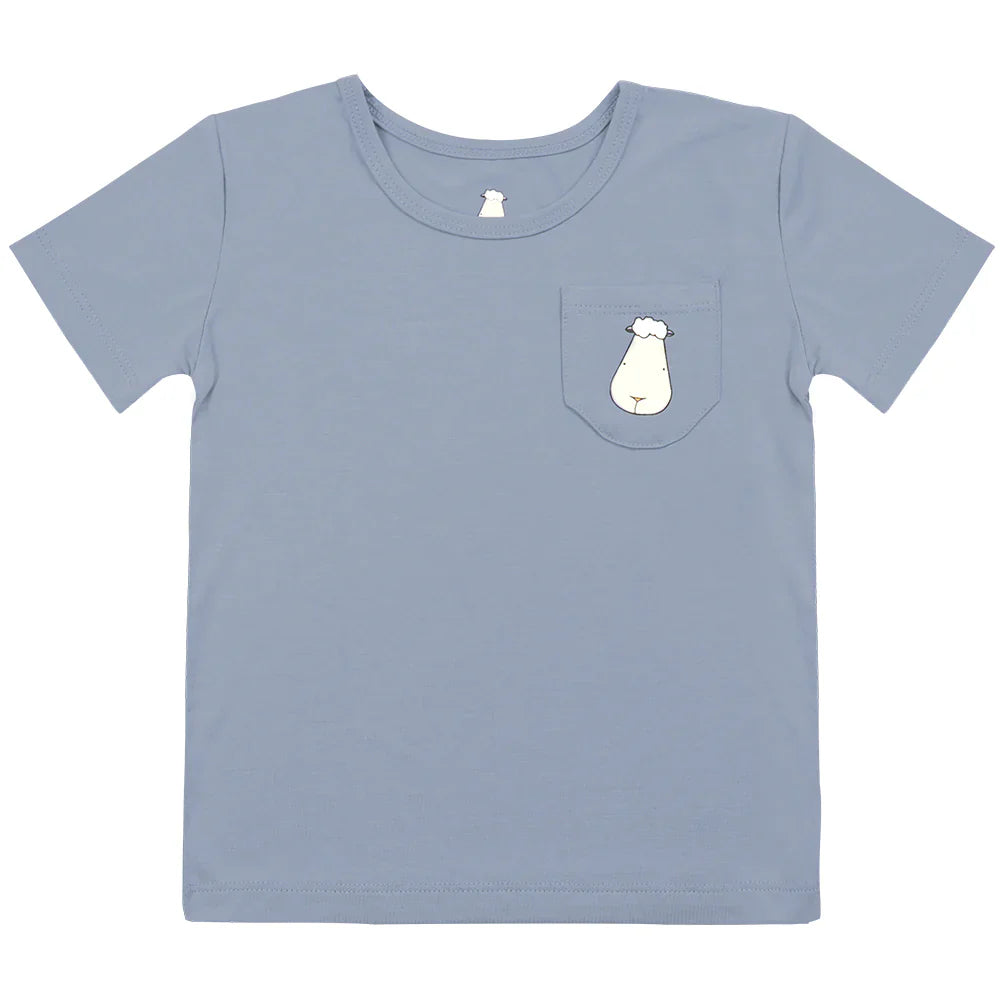 Short Sleeve Shirt Ocean + Shorts Ocean
