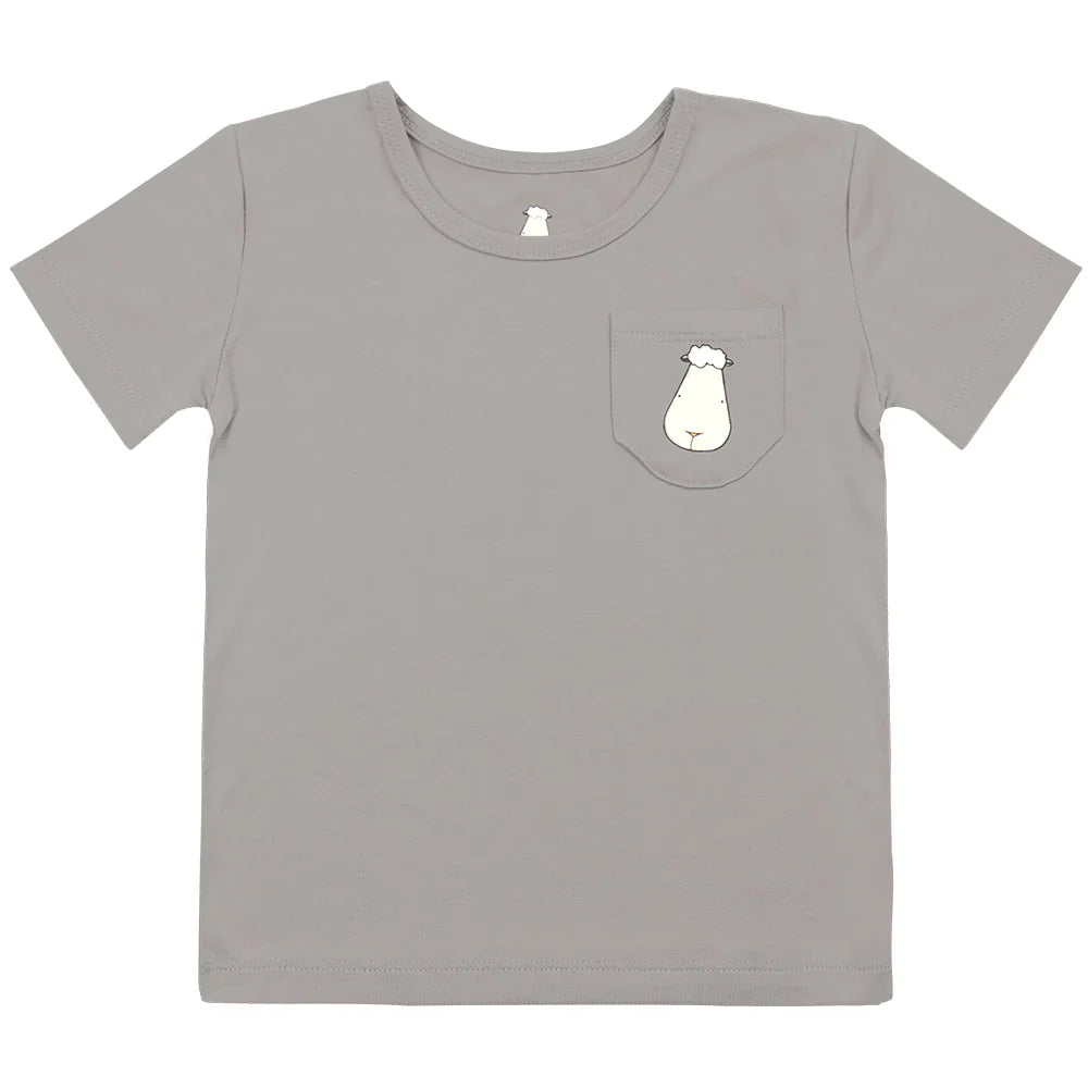 Short Sleeve Shirt Dark Grey + Shorts Dark Grey