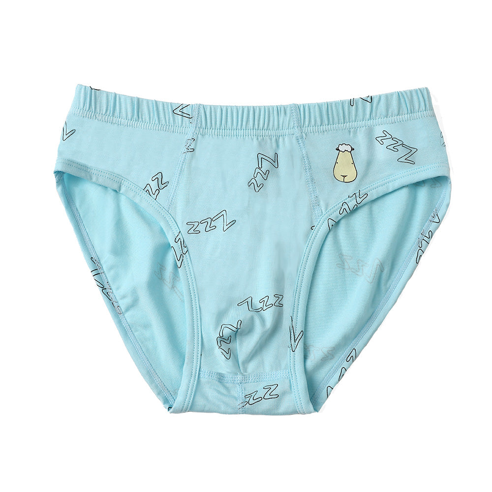 Boys Briefs C009-M 3 pcs