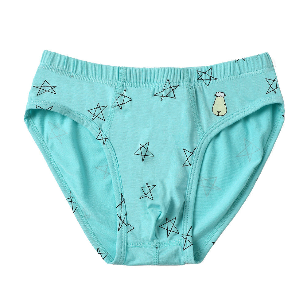 Boys Briefs C009-M 3 pcs