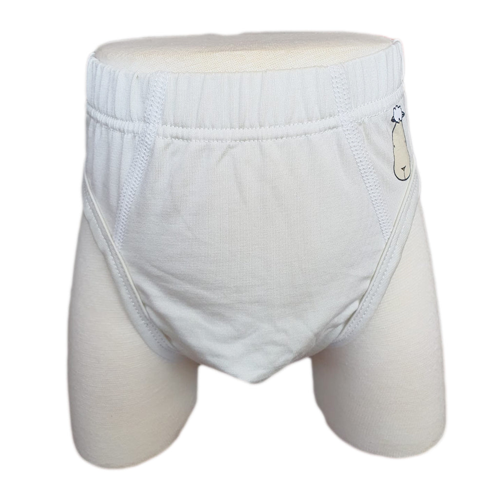 Boys Briefs C001 3 pcs