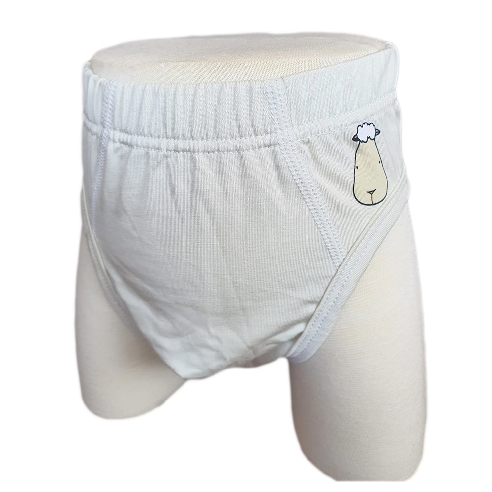 Boys Briefs C001 3 pcs