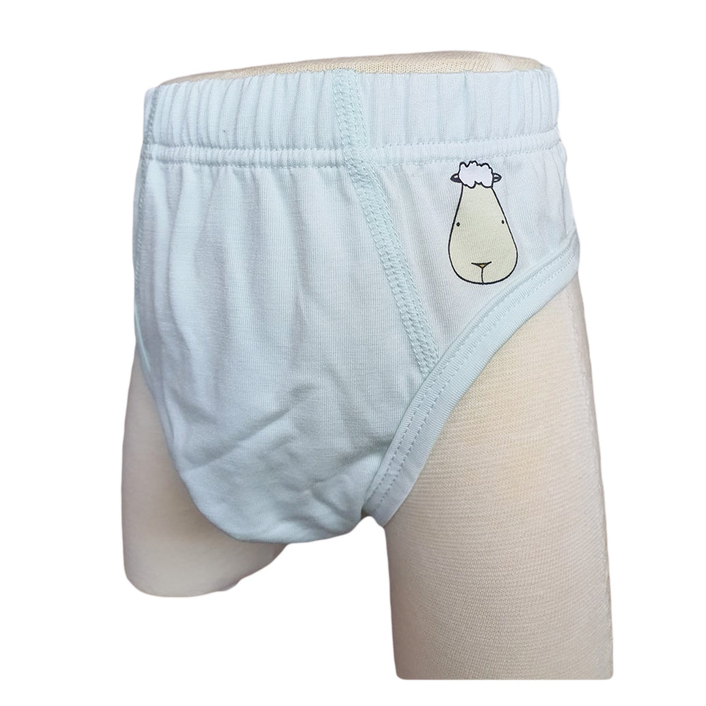 Boys Briefs C001 3 pcs