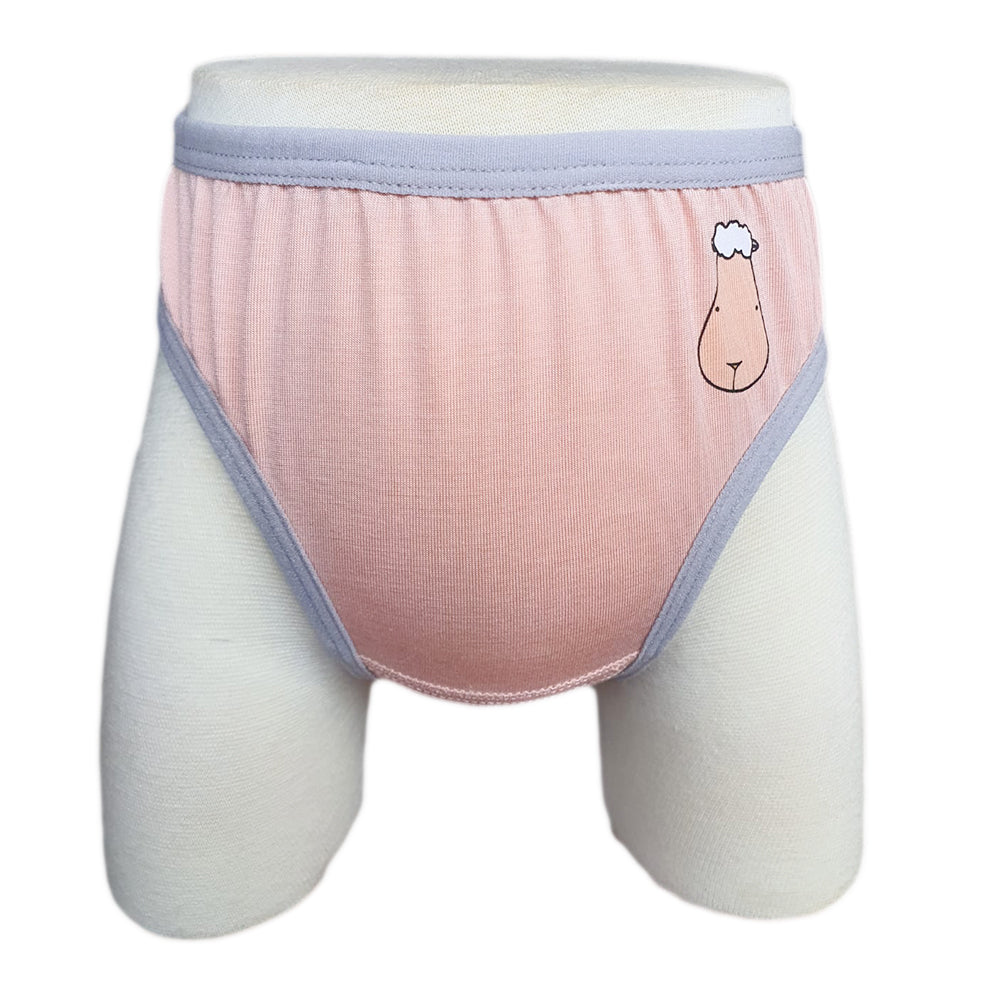 Girls Briefs C002 3 pcs