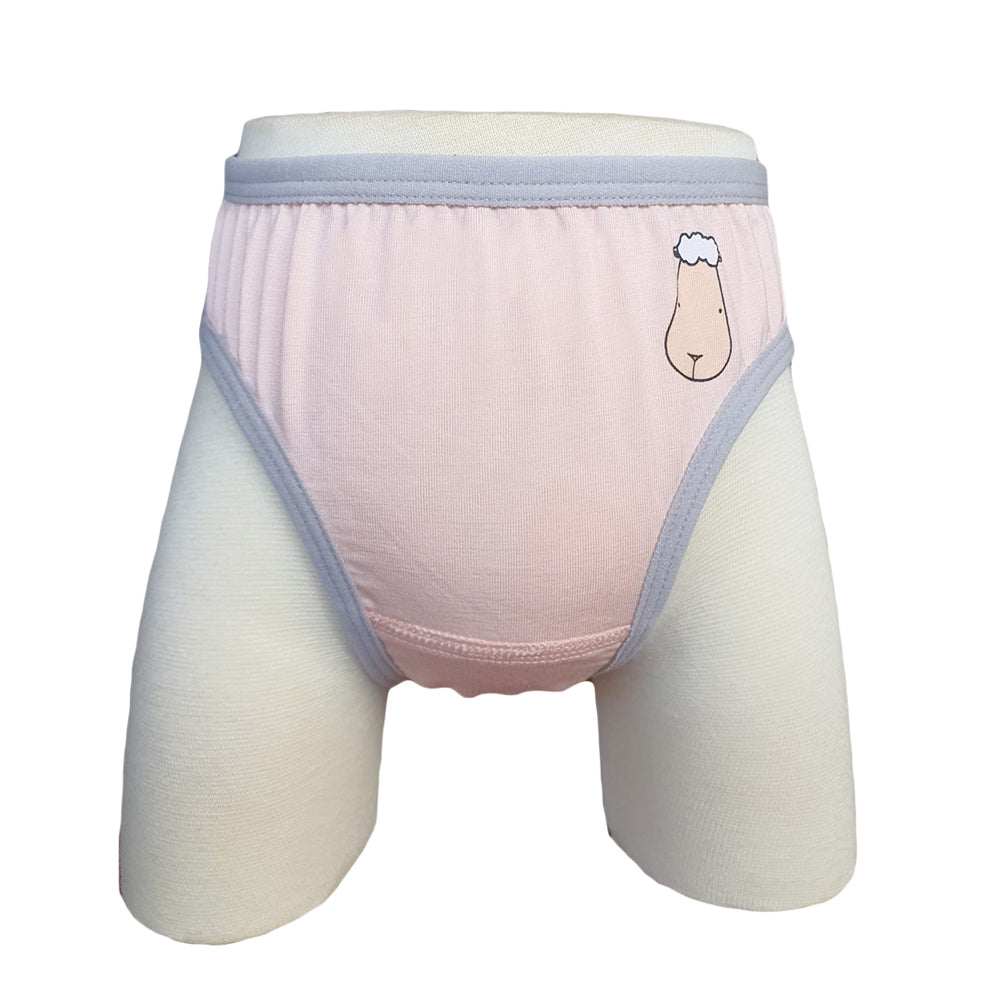 Girls Briefs C002 3 pcs