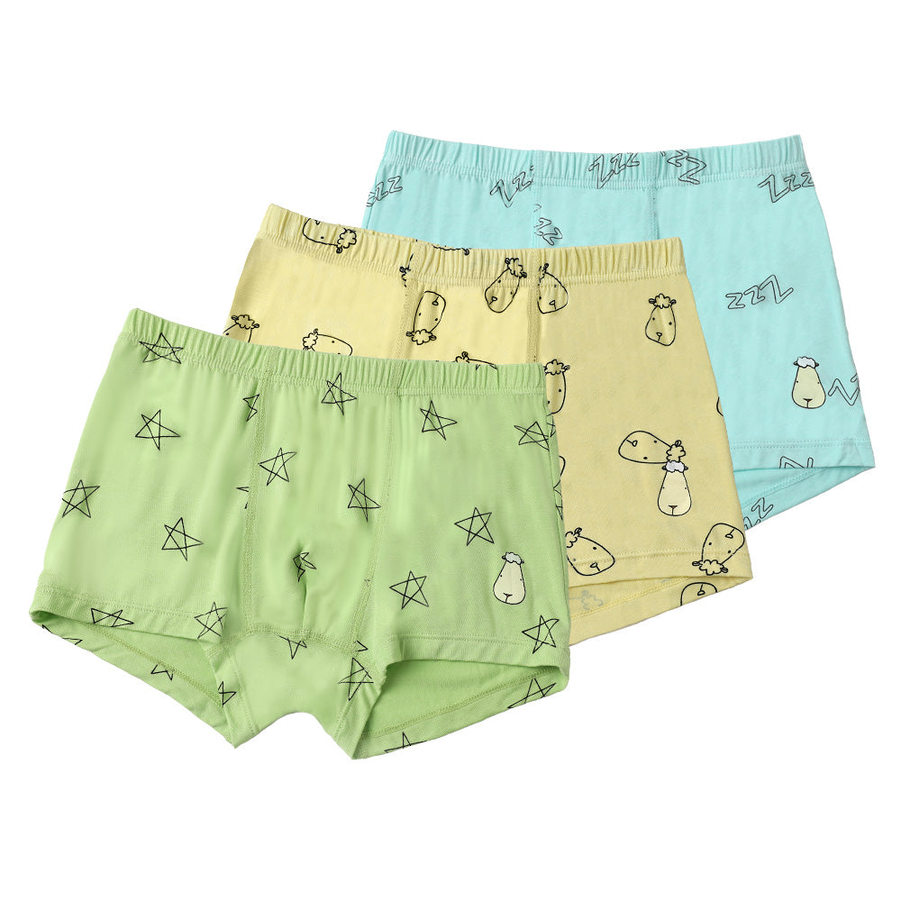 Boys Boxer C011-B 3 pcs