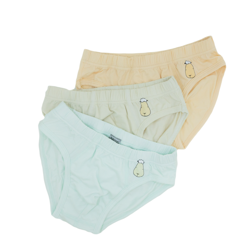 Boys Briefs C001 3 pcs