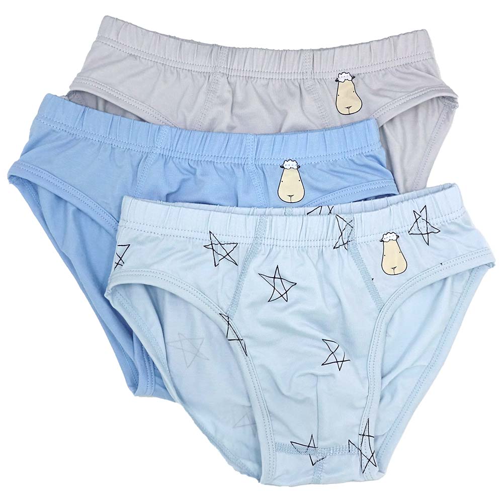 Boys Briefs C005-M 3 pcs