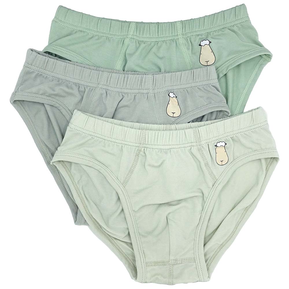 Boys Briefs C003-B 3 pcs