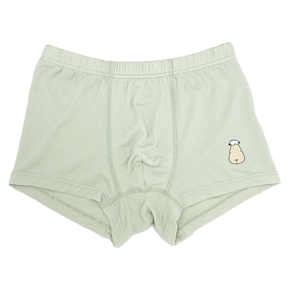 Boys Boxer A Light Green-B